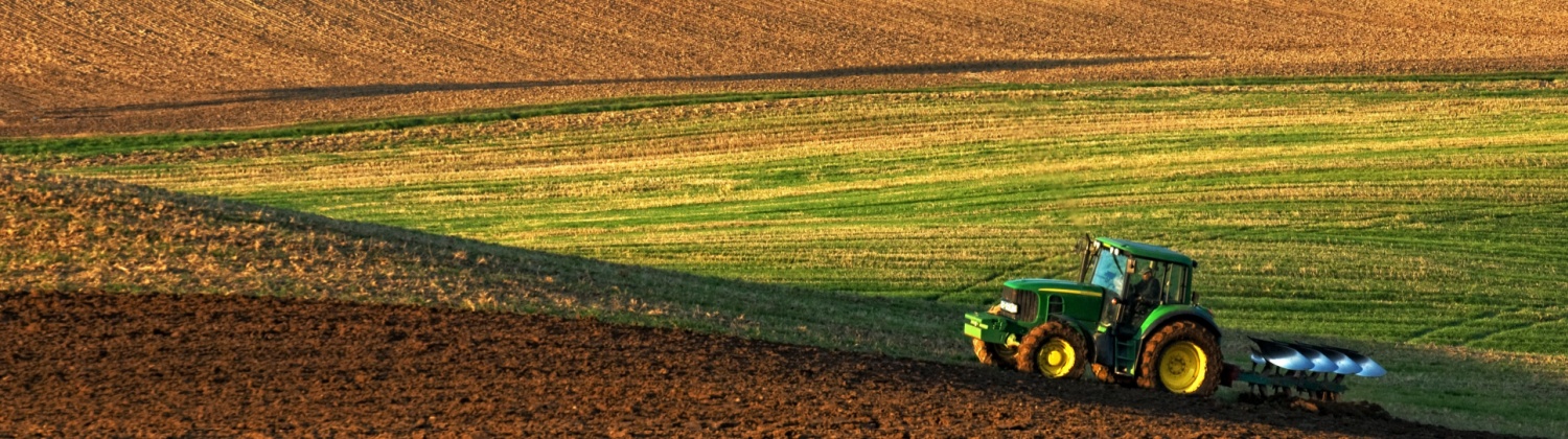 How to Increase Crop Production